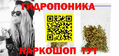 гашик Балахна