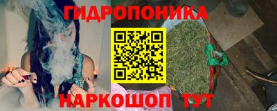 гашик Балахна